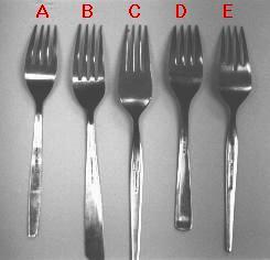 screech-fork1.jpg - 7.9 K