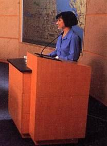 presentation millwork at a corporate sales presentation centre 