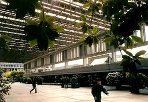 The mall is a large covered (dry) outdoor space